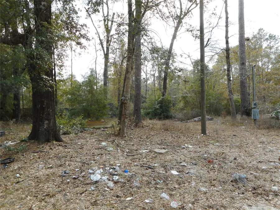 111 County Road 3891 N, Cleveland, TX 77328 - #2