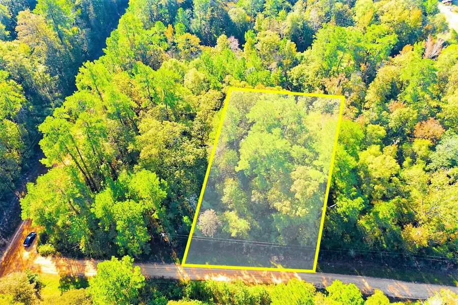 Lot 500-502 Patsy Cline Road, Livingston, TX 77351 - #2