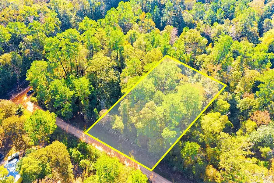 Lot 500-502 Patsy Cline Road, Livingston, TX 77351 - #3