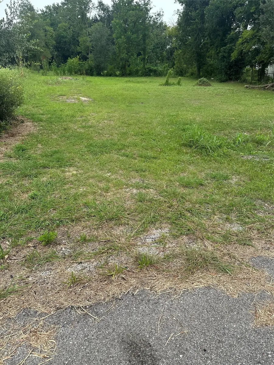 4419 Mayflower Street, Houston, TX 77051 - #2