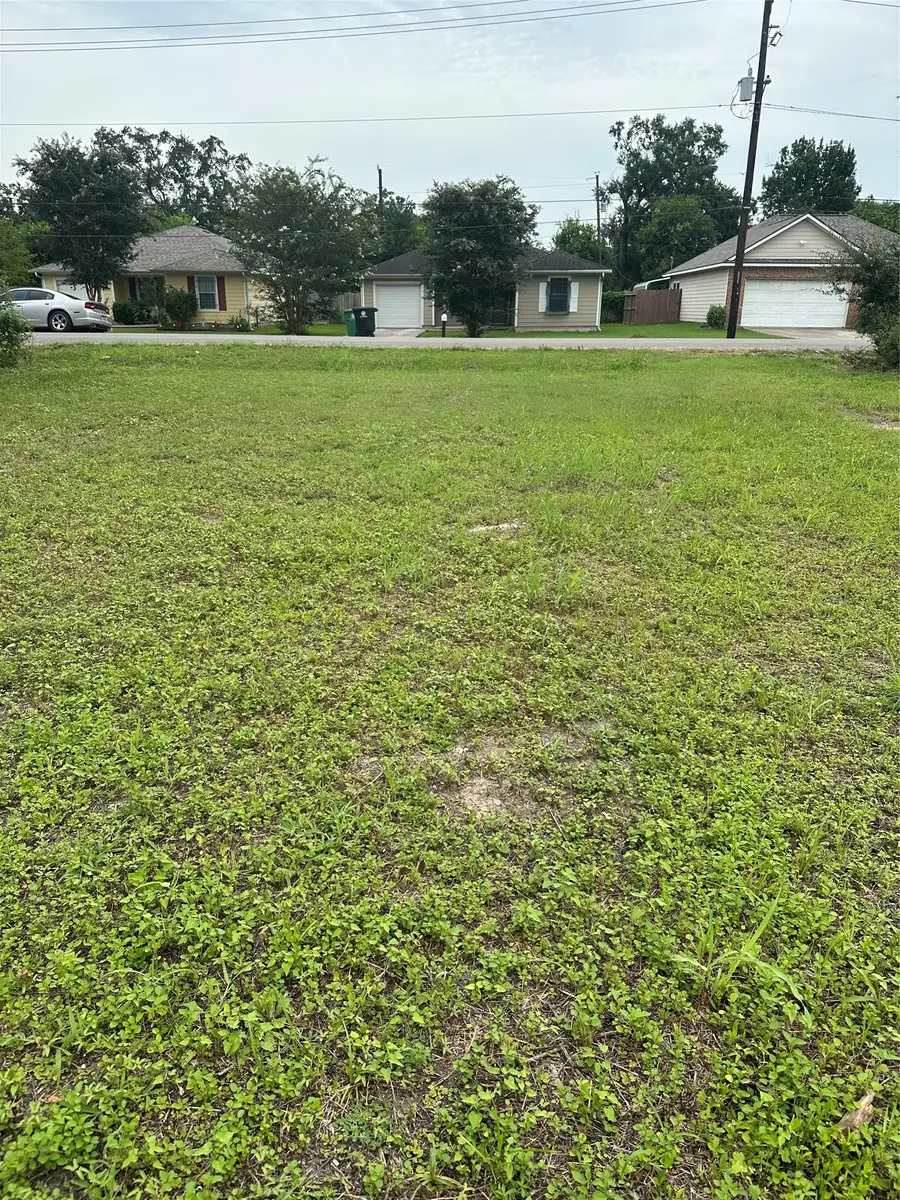 4419 Mayflower Street, Houston, TX 77051 - #3