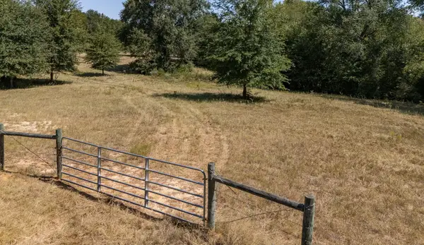 TBD County Road 320, Centerville, TX 75833