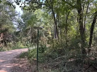 15216 Fm-1774, Plantersville, TX 77363 - Image #1