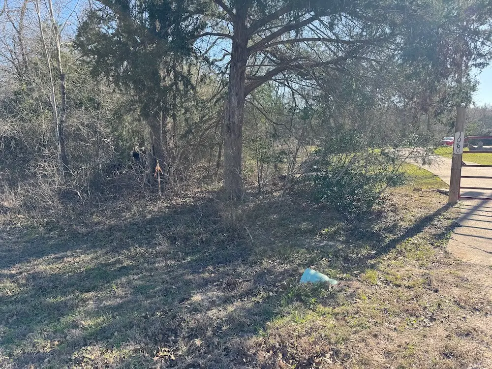 0 Swan Lake Drive N, Caldwell, TX 77836 - #1