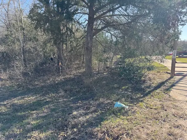0 Swan Lake Drive N, Caldwell, TX 77836