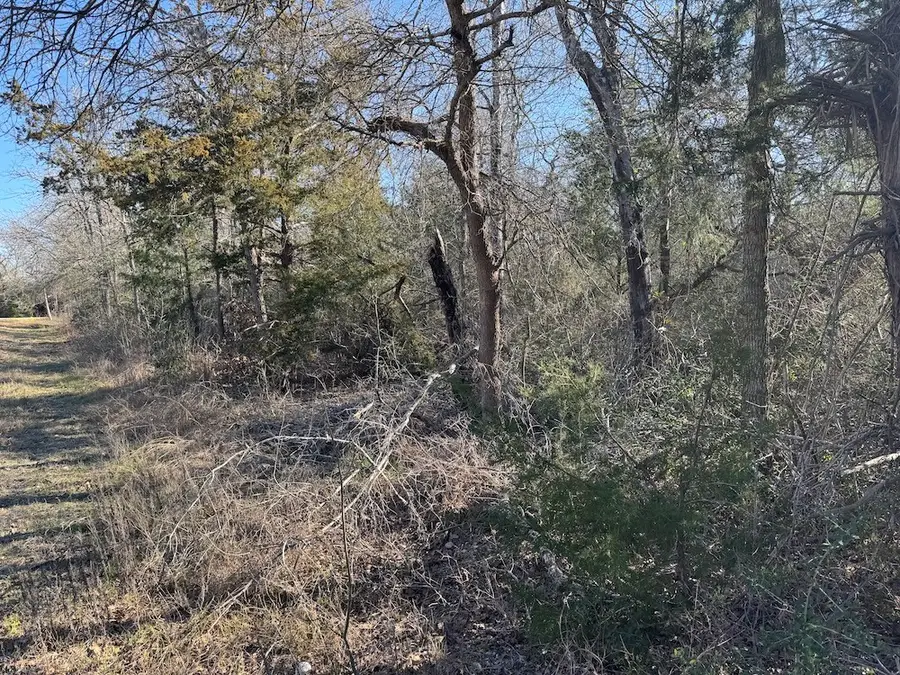 0 Swan Lake Drive N, Caldwell, TX 77836 - #2