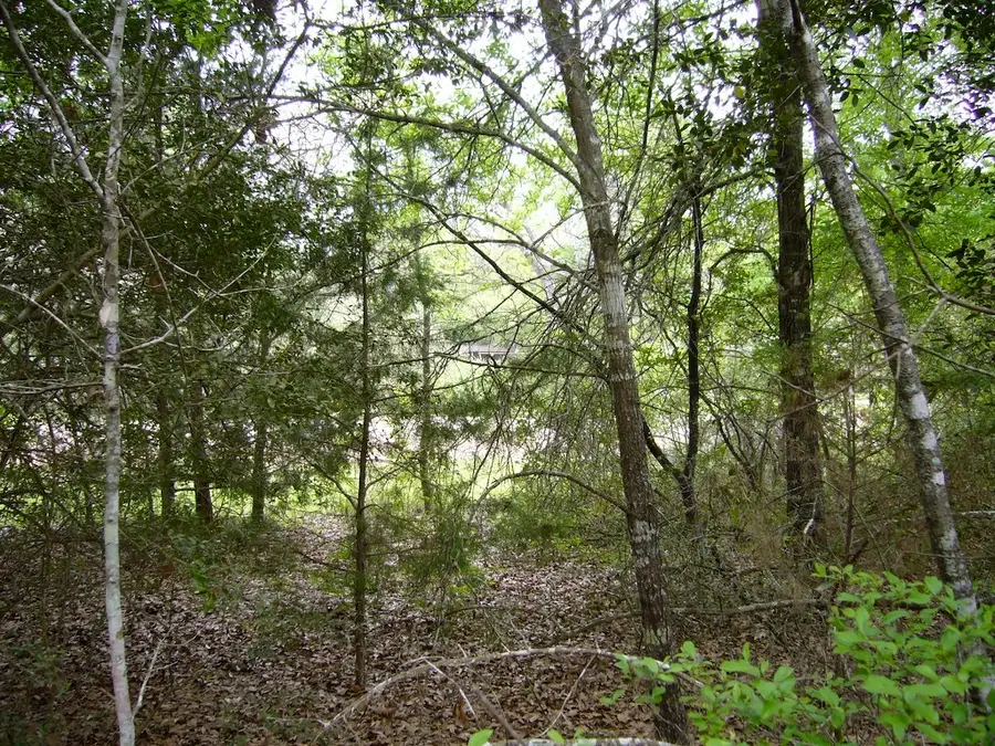 0 Swan Lake Drive N, Caldwell, TX 77836 - #3