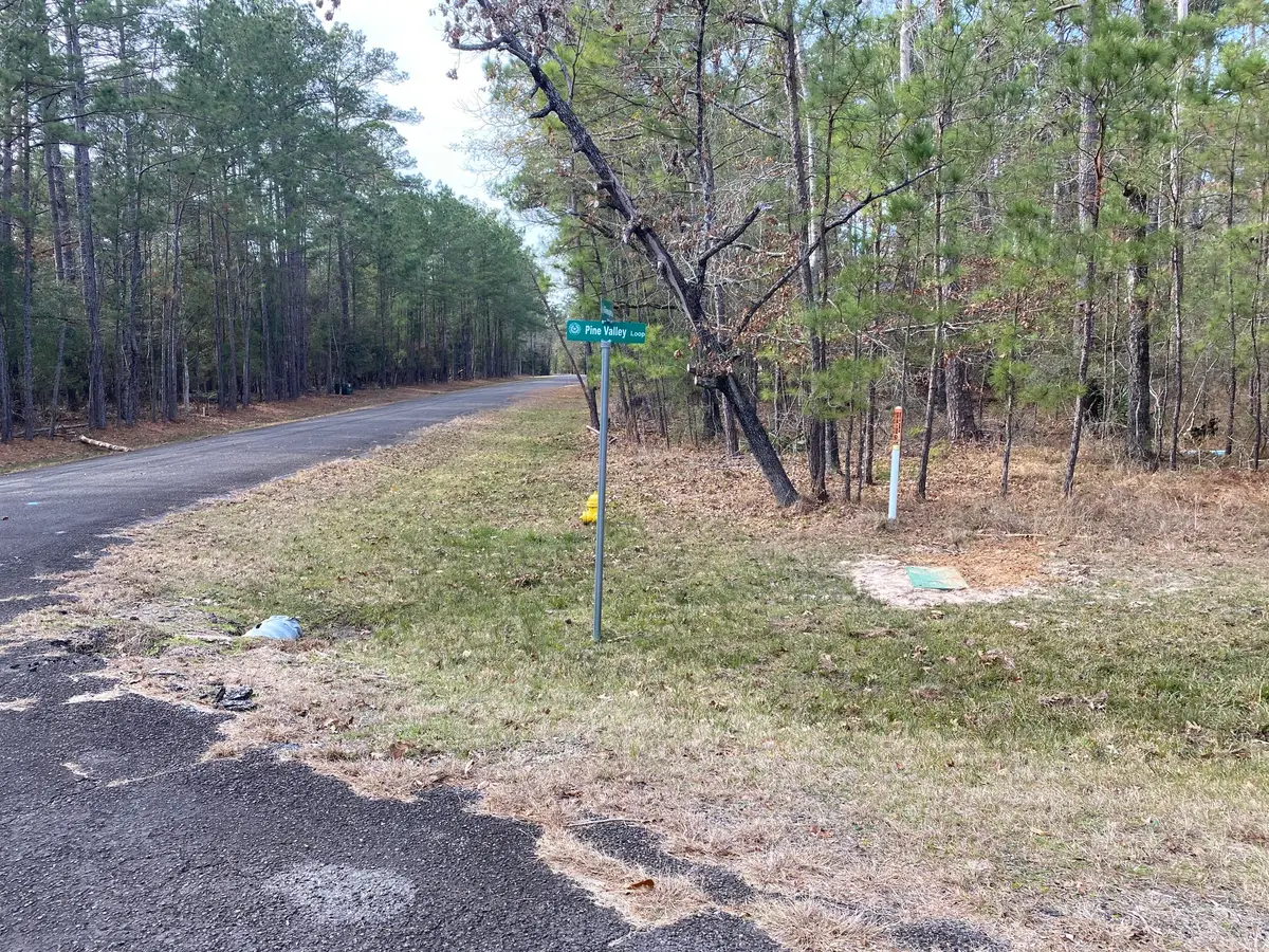 24418 Gleneagles, Huntsville, TX 77320 - #1