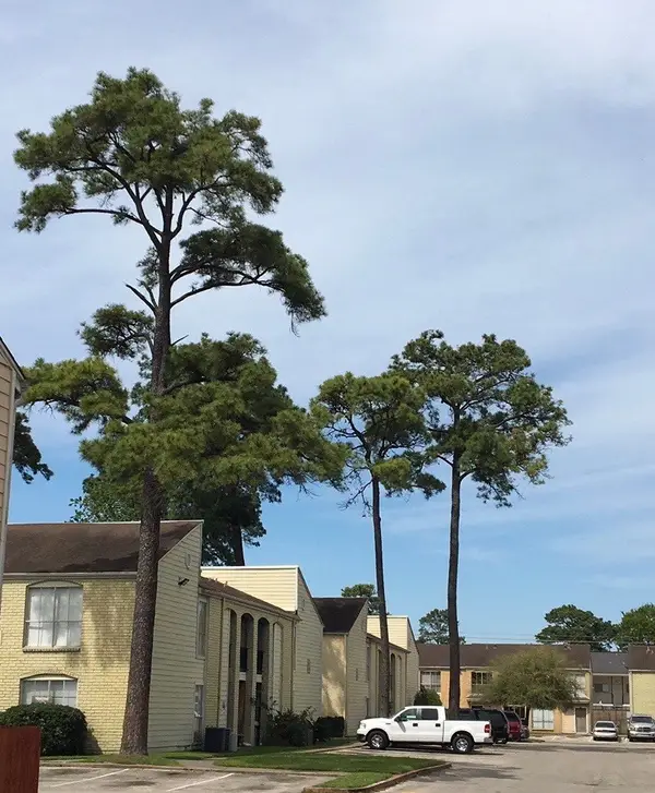 6200 W Tidwell Road #901, Houston, TX 77092