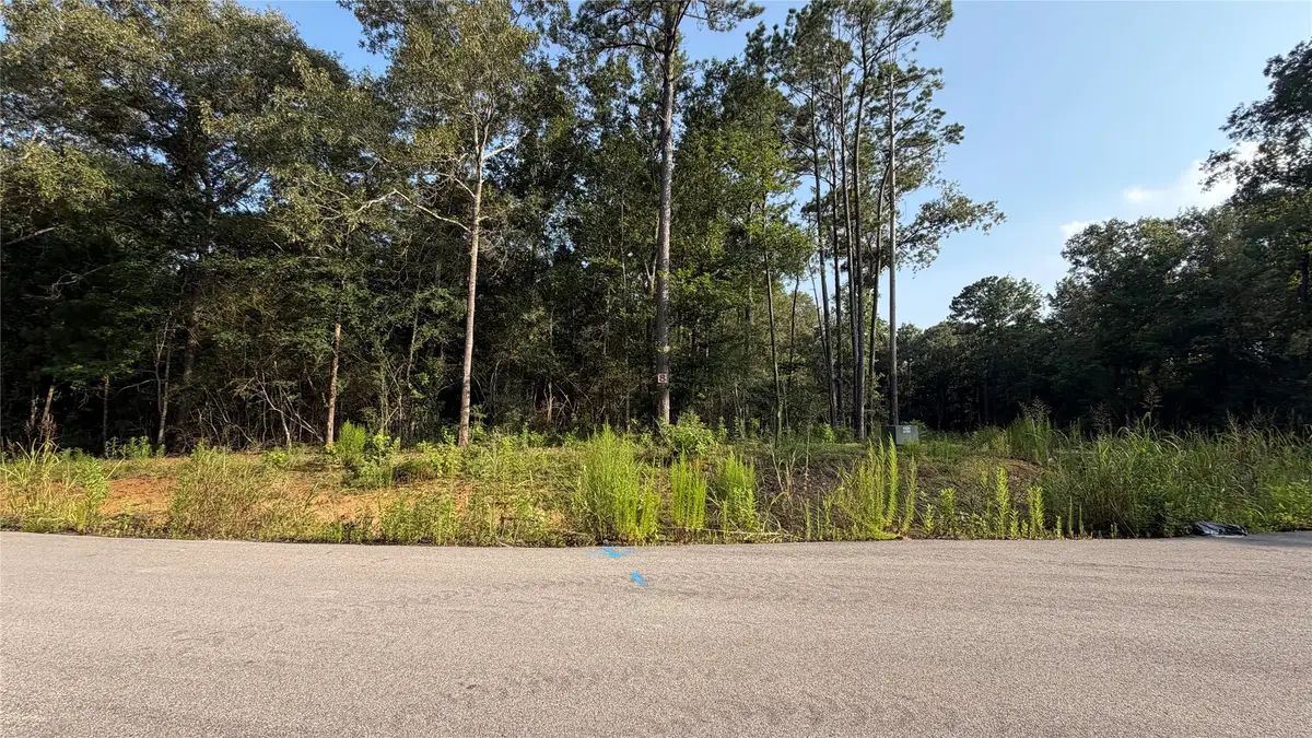 225 County Road 6311, Dayton, TX 77535 - #1