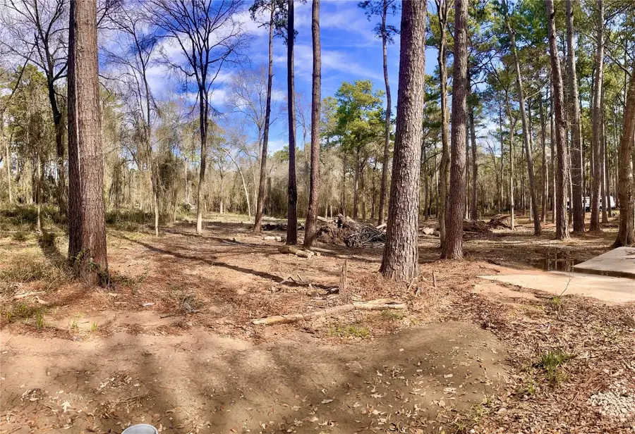 11253 Greenway Drive, Plantersville, TX 77363 - Image #2