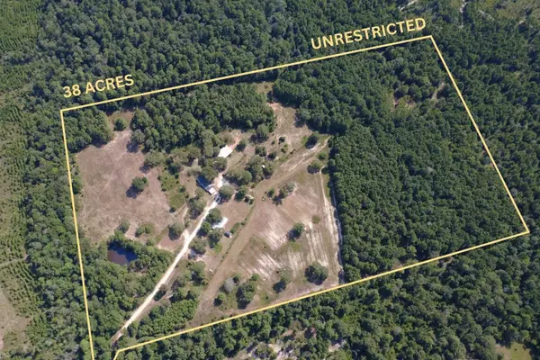 281 Mcgehee Road, Willis, TX 77378