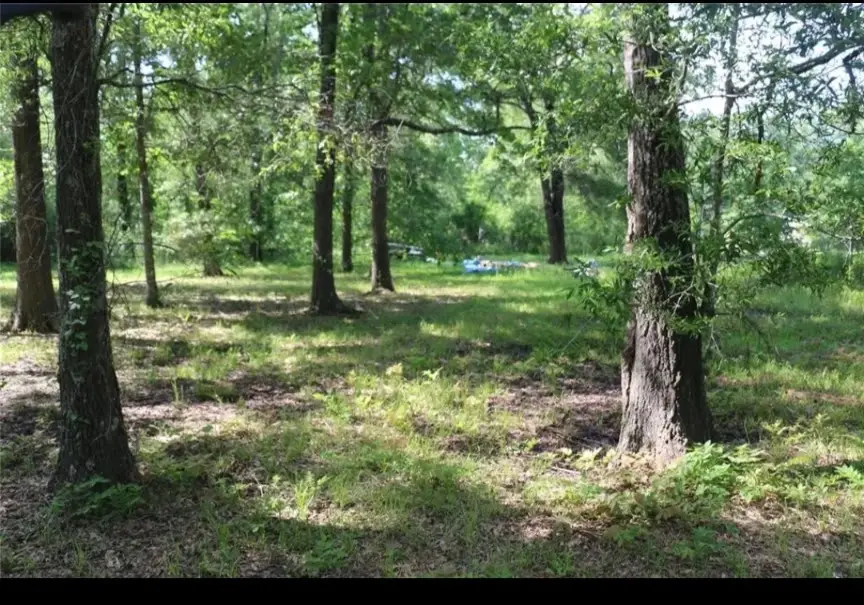 235 Panther Lane, Livingston, TX 77351 - #3