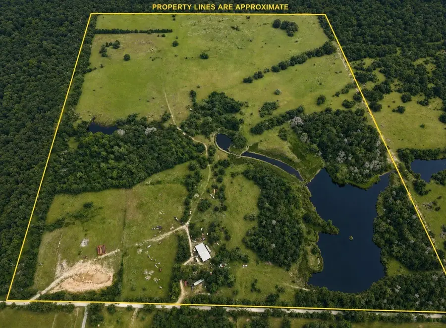 19046 County Road 124, Bedias, TX 77831 - #3