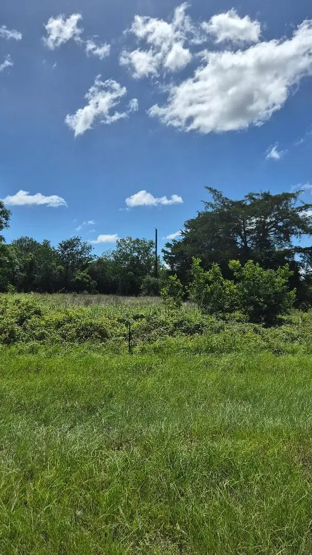 Lots 1-10 BLK 418 2nd, Hempstead, TX 77445 - #1