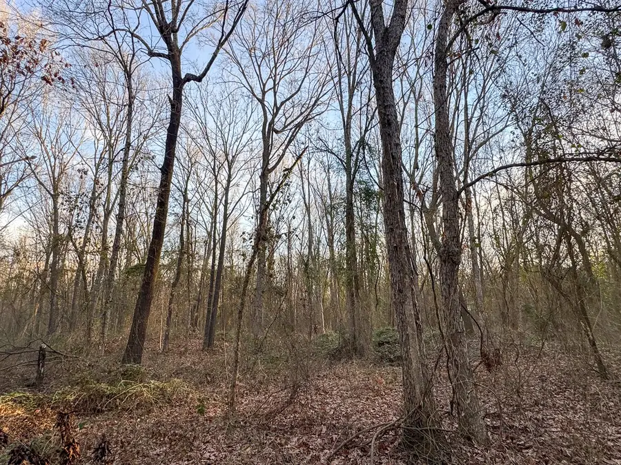 T-3 Cr 4302, De Kalb, TX 75559 - #3