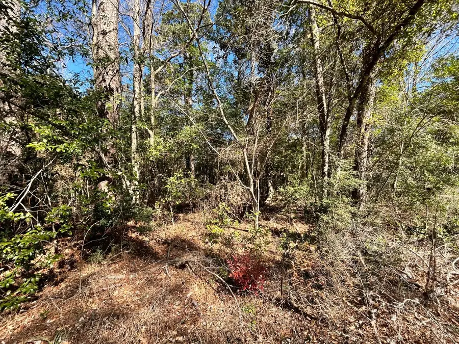 Lot 26 Buckingham Drive, Ivanhoe, TX 75979 - #2