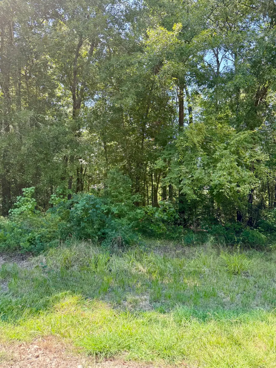 TBD Underwood, Livingston, TX 77351 - #2