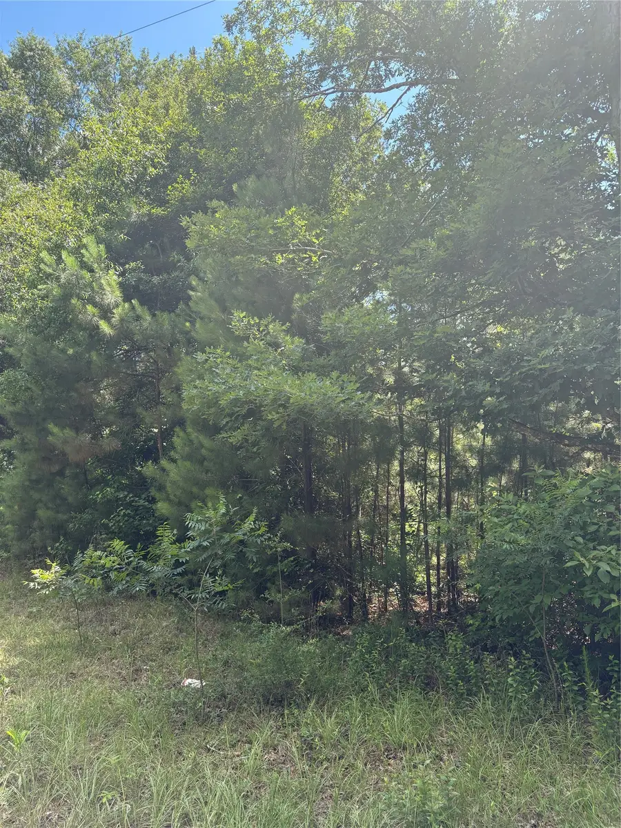 3133 County Road 4525, Warren, TX 77664 - #3