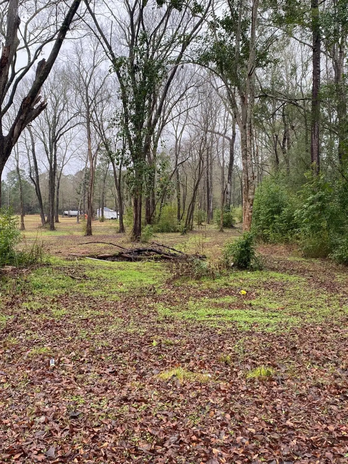 00 Cochran Street, Shepherd, TX 77371 - #1