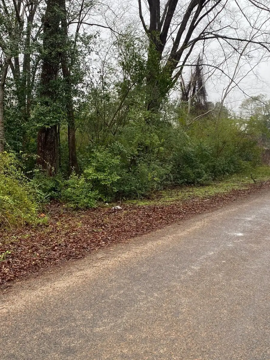 00 Cochran Street, Shepherd, TX 77371 - #3