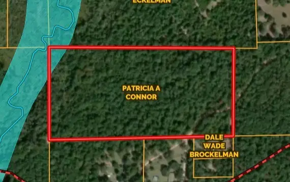 TBD Dillion Rd, Livingston, TX 77351 - #1