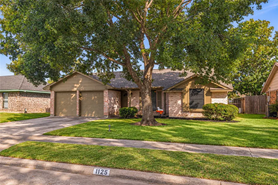 1125 Angela Street, Deer Park, TX 77536 - #2