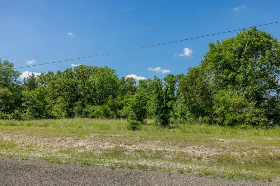 10649 Atakapan Trail, Bedias, TX 77831 - #2