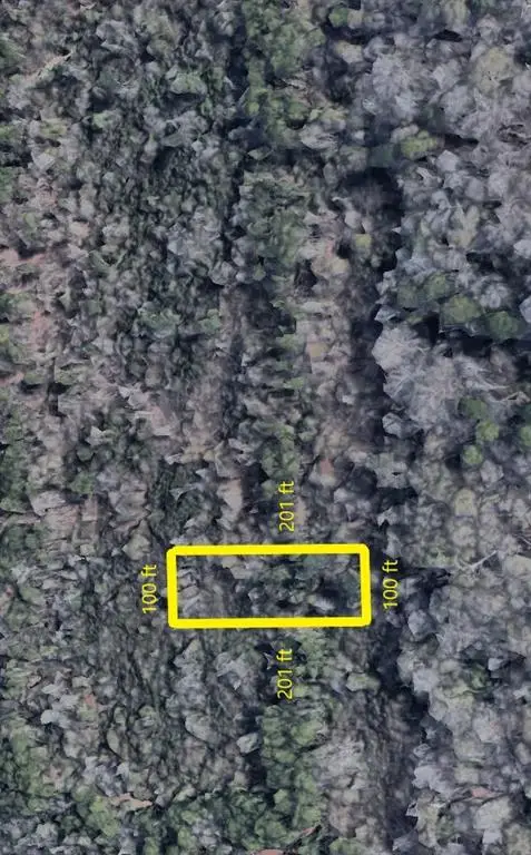 0000 Woodbranch Dr, New Caney, TX 77357 - Image #2