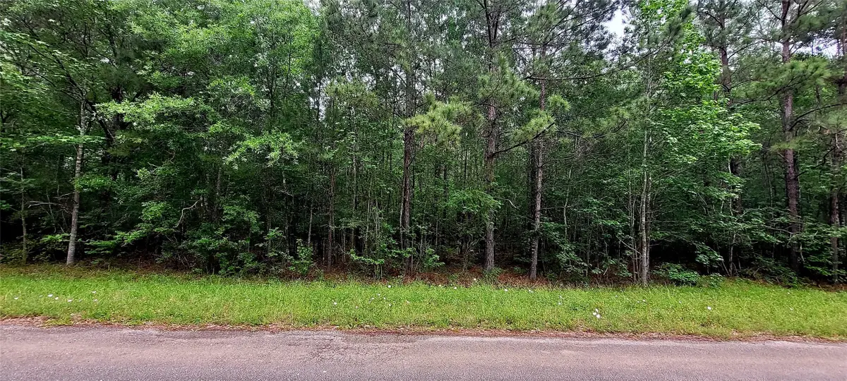 TBD Cr 349, Cleveland, TX 77327 - #1