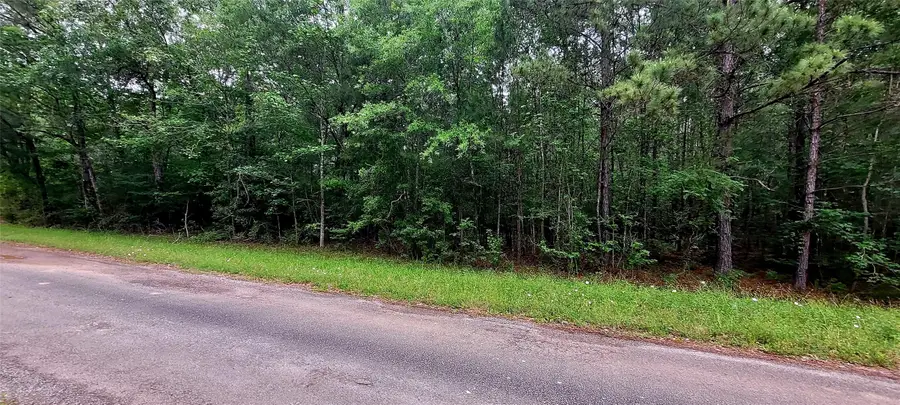 TBD Cr 349, Cleveland, TX 77327 - #2