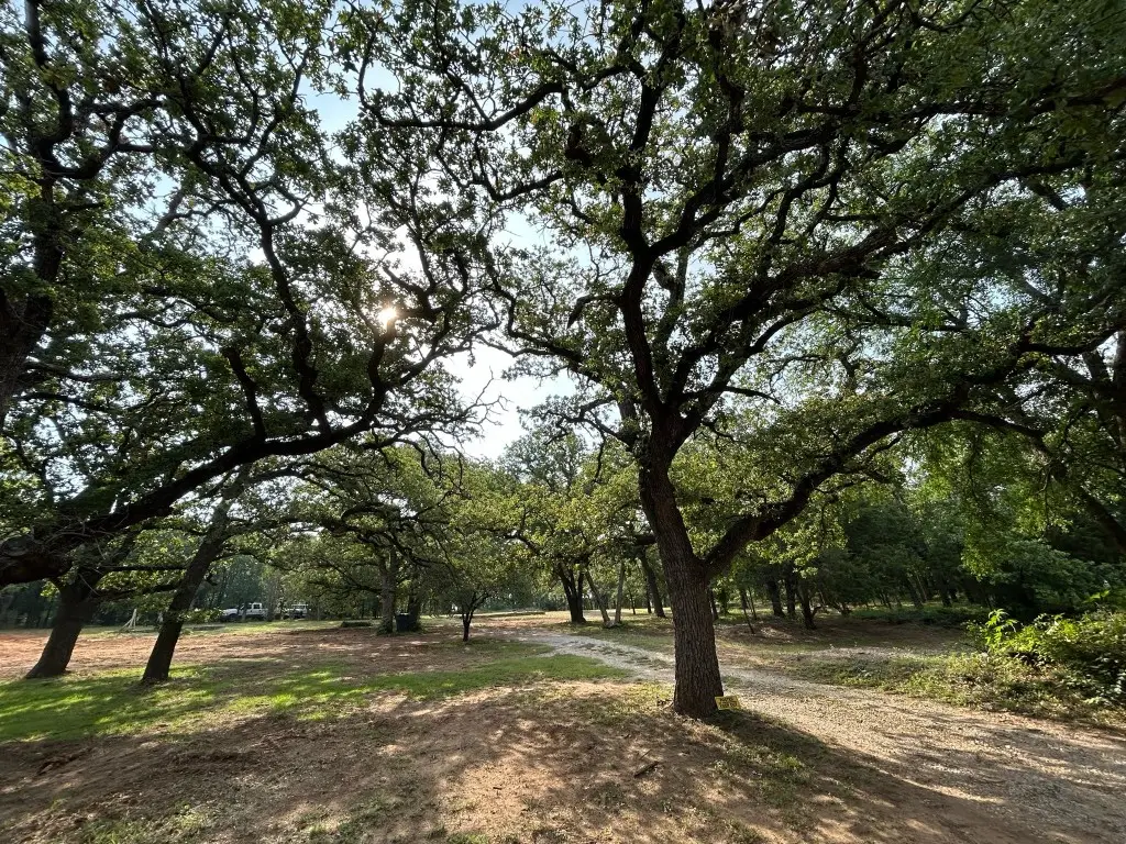 8704 Buckner Lane, Keller, TX 76248 - #1