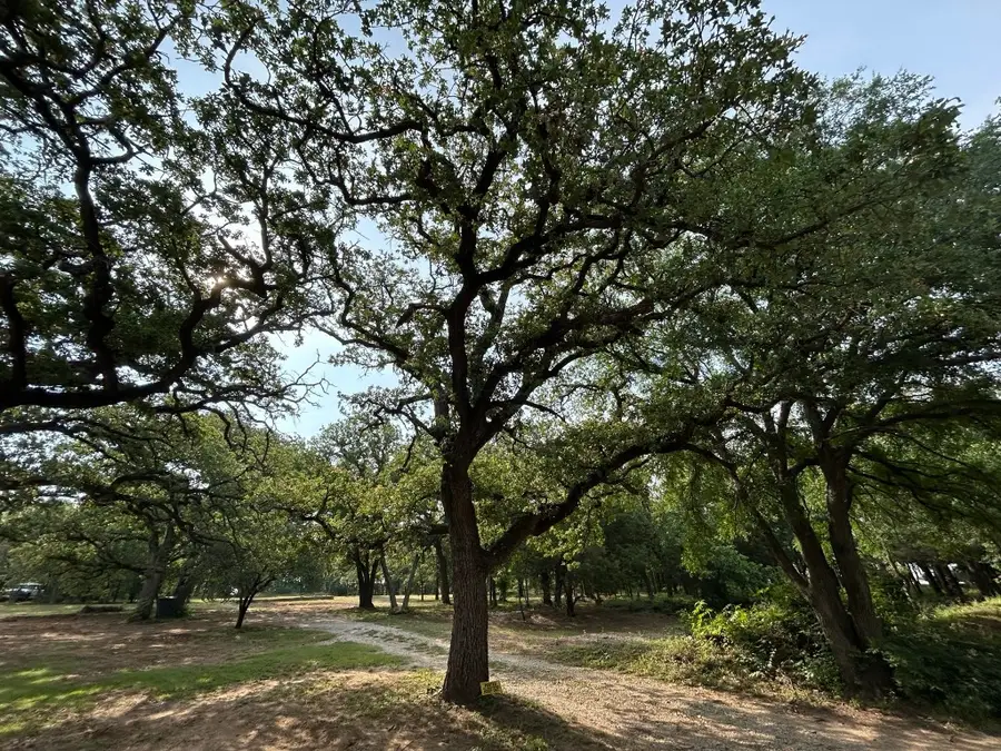 8704 Buckner Lane, Keller, TX 76248 - #2