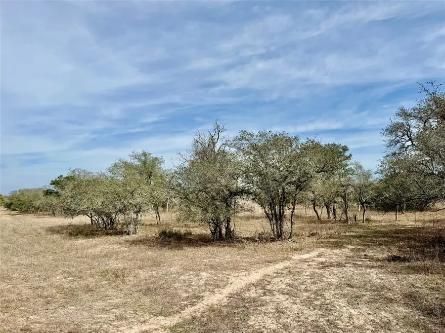 17.20 acres Friar Road, Cuero, TX 77954 - #3