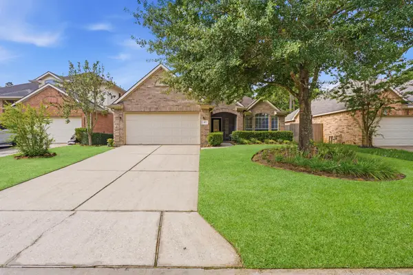 47 Delphinium Place, The Woodlands, TX 77382
