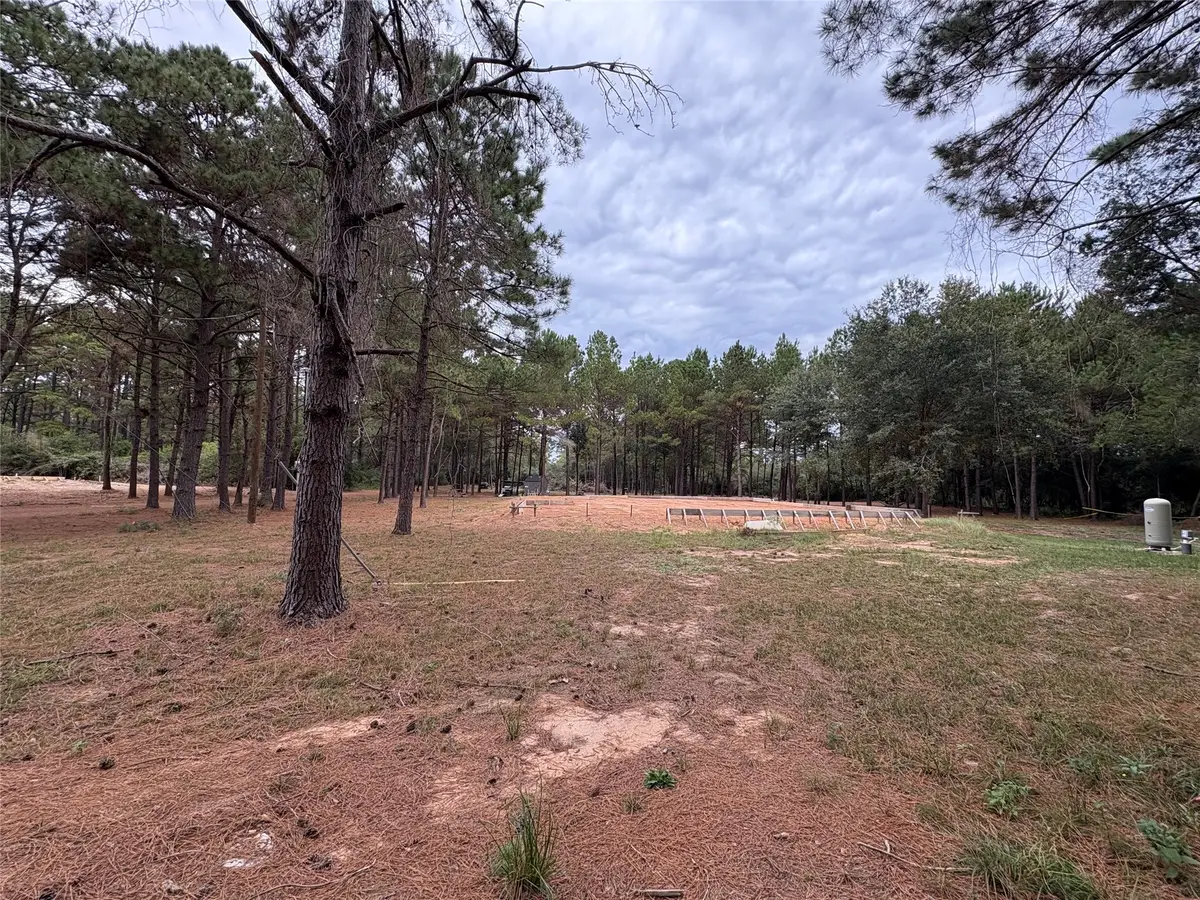 19602 Fisher Drive, Tomball, TX 77377 - Image #1