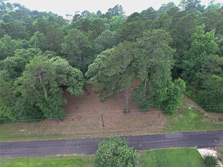 299 Hideaway Drive, Livingston, TX 77351 - #2