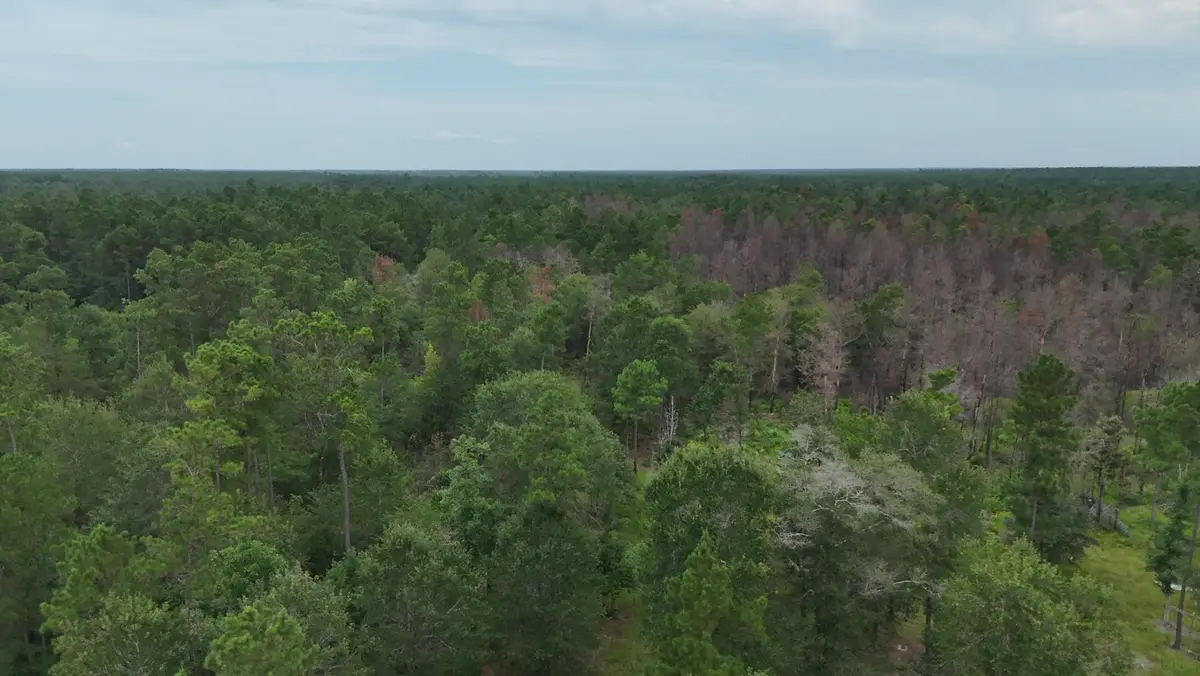 0 Tom Marsh Road, Livingston, TX 77351 - #1