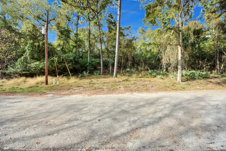 Lot 36 Loper Lake Drive, Livingston, TX 77351 - Image #2