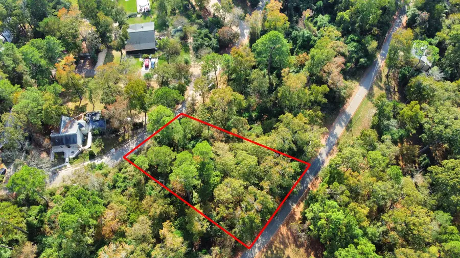 Lot 36 Loper Lake Drive, Livingston, TX 77351 - Image #3