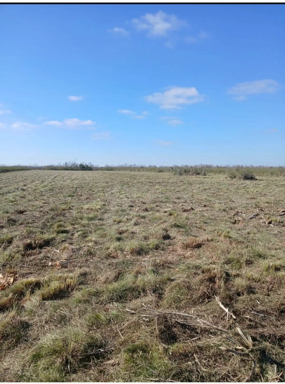 807 County Road 807, Angleton, TX 77515 - #1