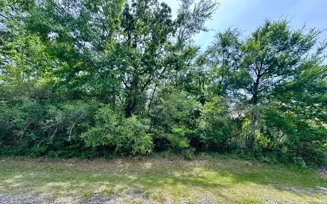 TBD005 Molitar, Trinity, TX 75862 - #2
