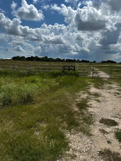 tbd Fm 1994 Road, Guy, TX 77444 - #2