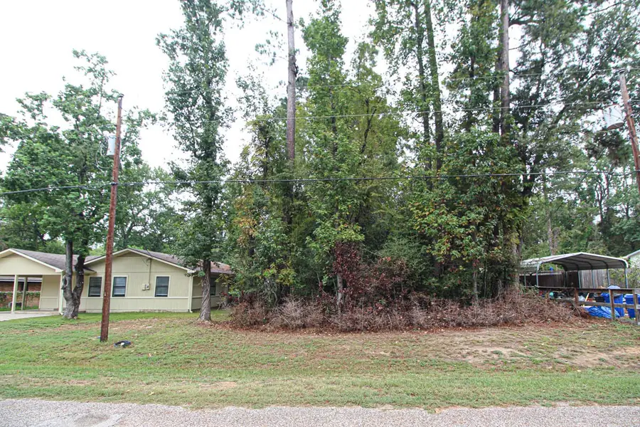 345 Cherokee Lane, Onalaska, TX 77360 - #2