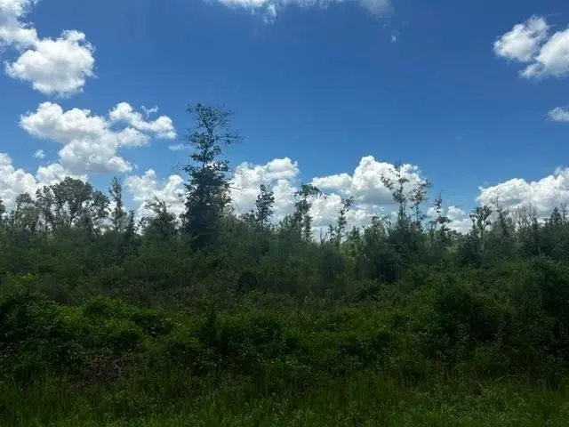 0000 Piney Point Lane, Beaumont, TX 77708 - #3