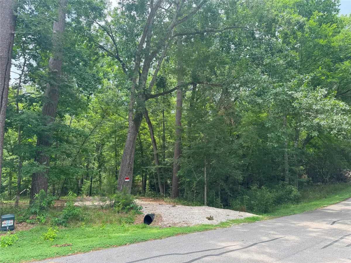 77 S Pine Harbour Drive, Coldspring, TX 77331 - #1