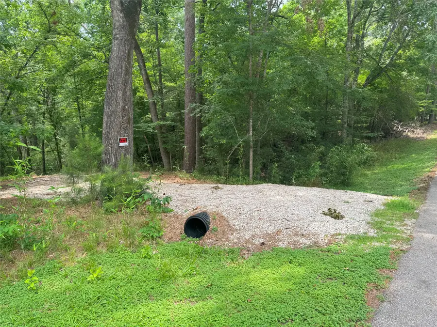 77 S Pine Harbour Drive, Coldspring, TX 77331 - #3