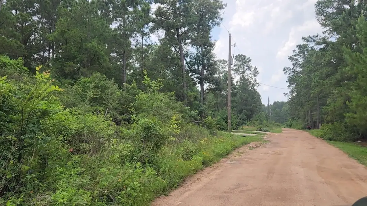 Lot 35 Scarlet Oak Drive, Plantersville, TX 77363 - Image #1