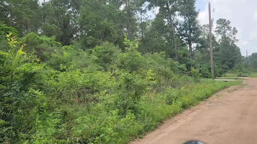 Lot 35 Scarlet Oak Drive, Plantersville, TX 77363 - Image #2