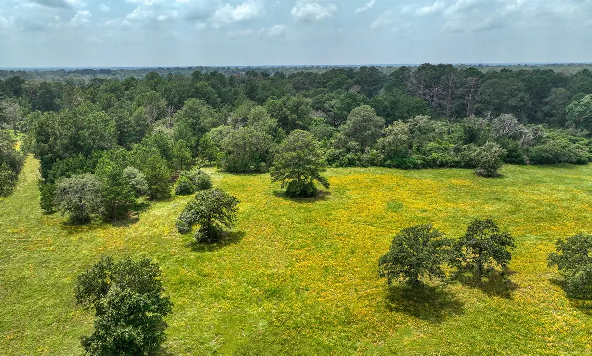 4749 Highway 36 N, Bellville, TX 77418 - #1